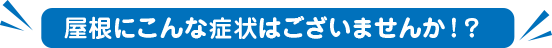 屋根にこんな症状はございませんか！？